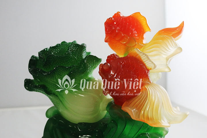 Bắp Cải Phong Thuỷ, Cá Gặp Nước