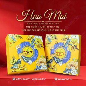 Vỏ Hộp Quà Tết Truyền Thống - T1641